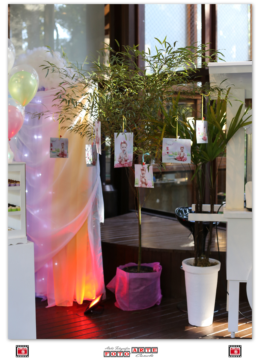 Árvore Com Fotos Penduradas Nos Galhos