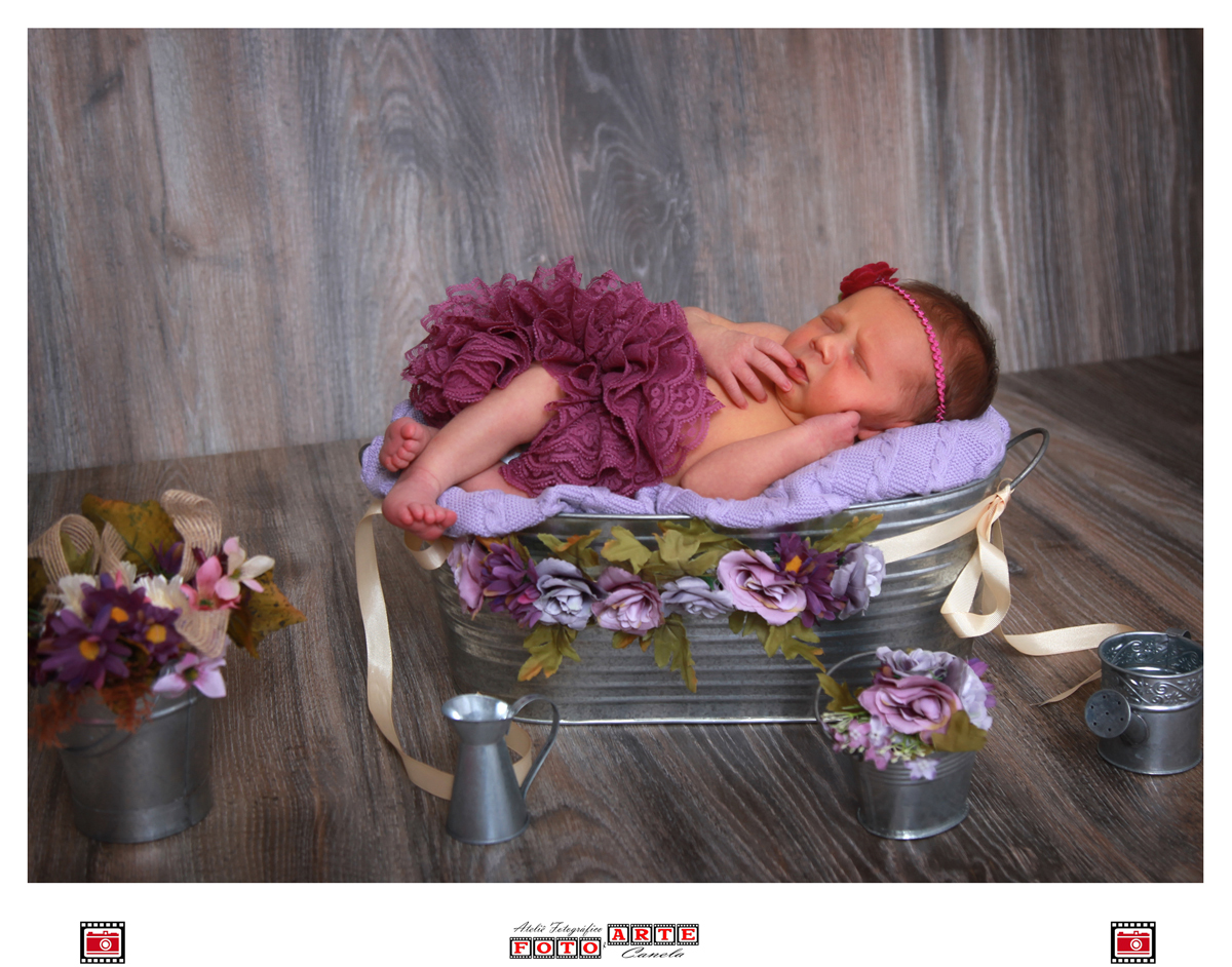 ensaio newborn érica