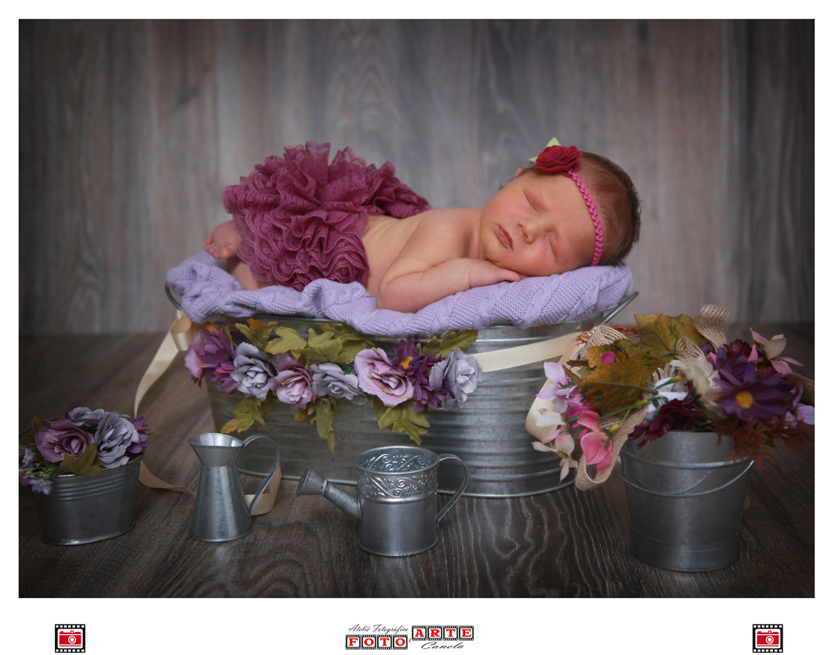 cenário newbrn flores roxas com bebê em balde de metal 