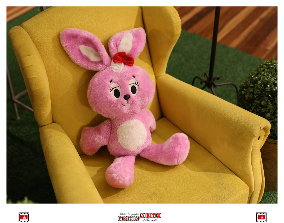 coelho rosa em sofá amarelo