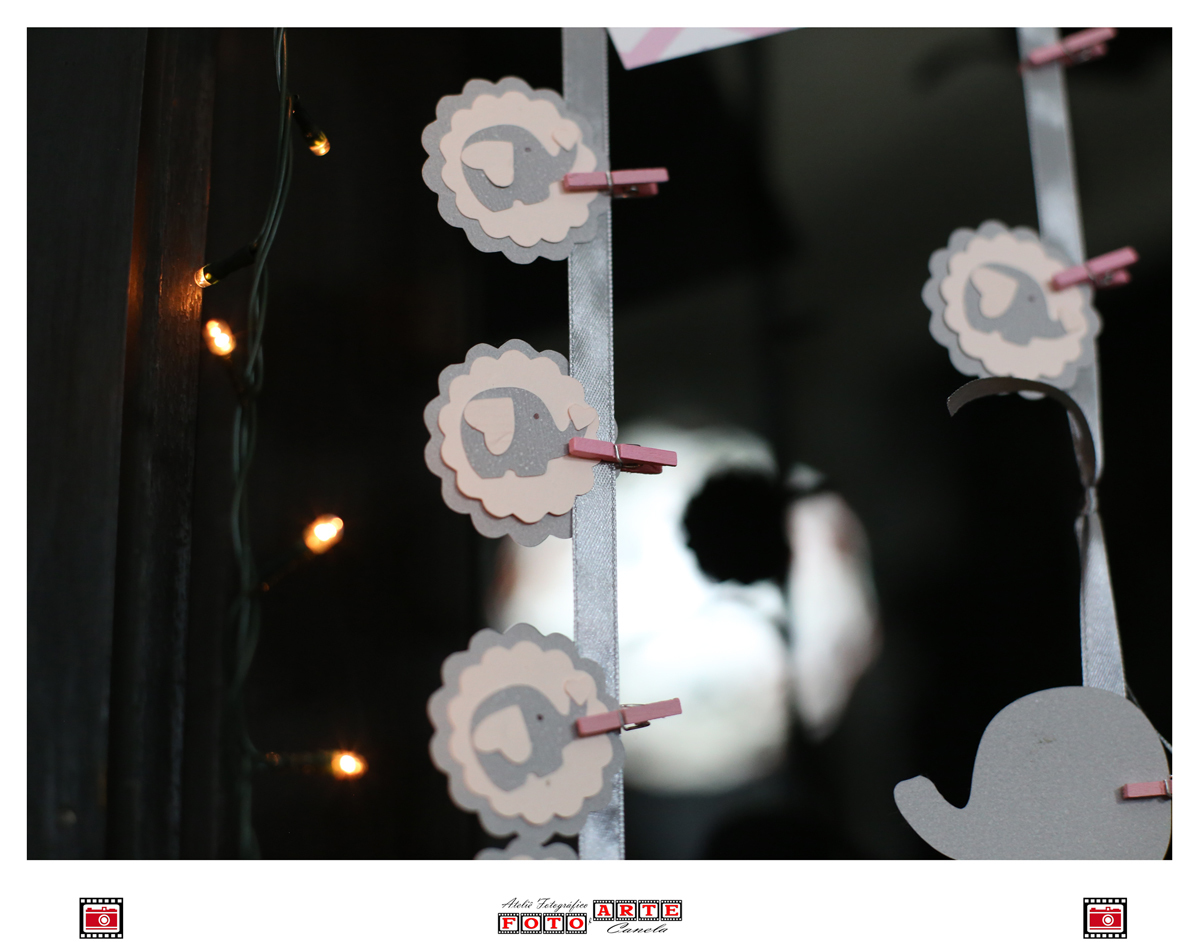 tags elefantes rosas