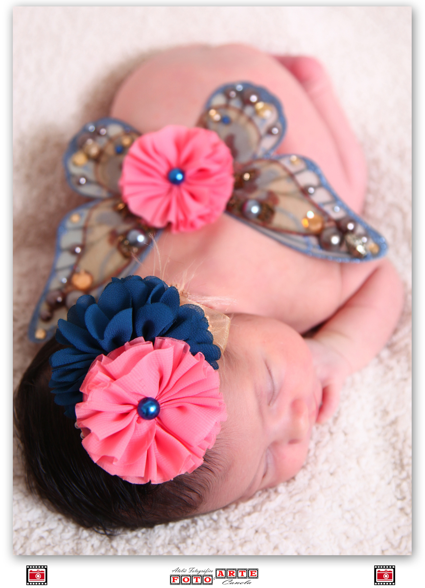 asinhas de borboleta