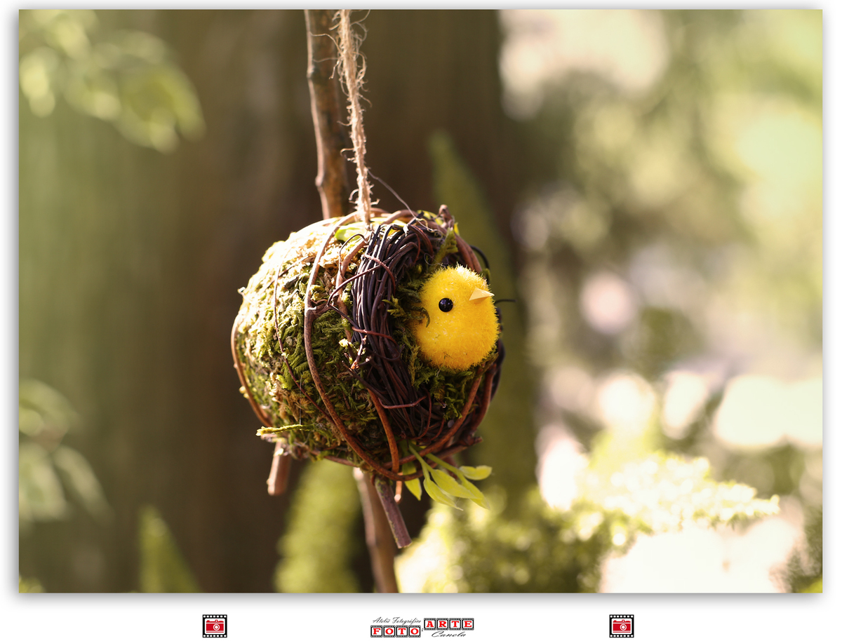 pasaarinhocenário de páscoa