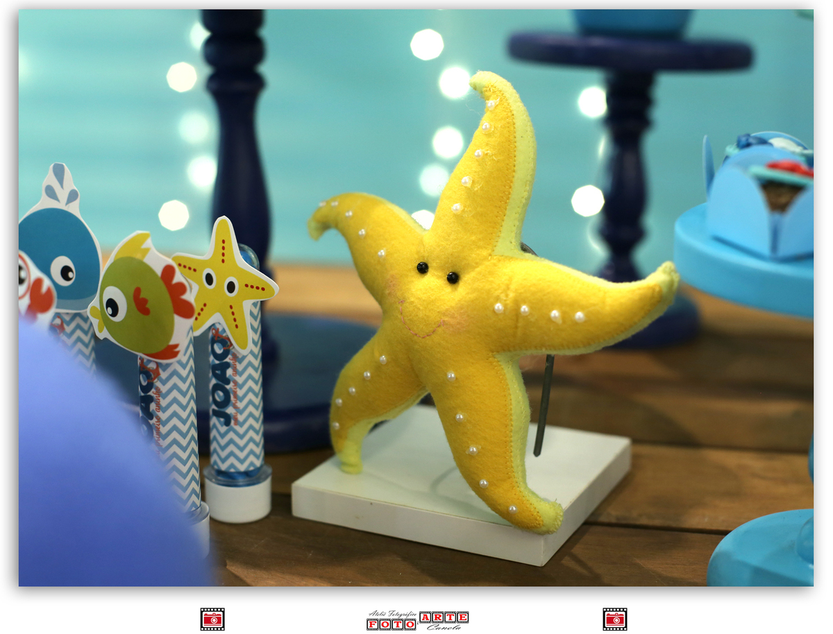 estrela do mar de feltro