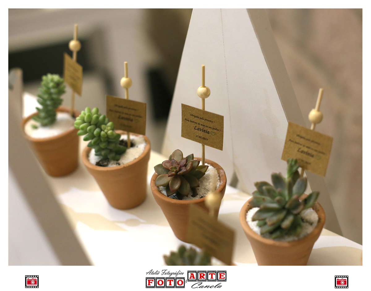 suculentas lembranças