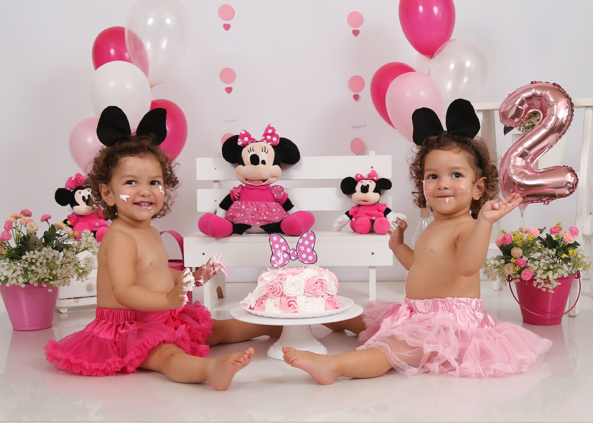 smash the cake de gêmeas