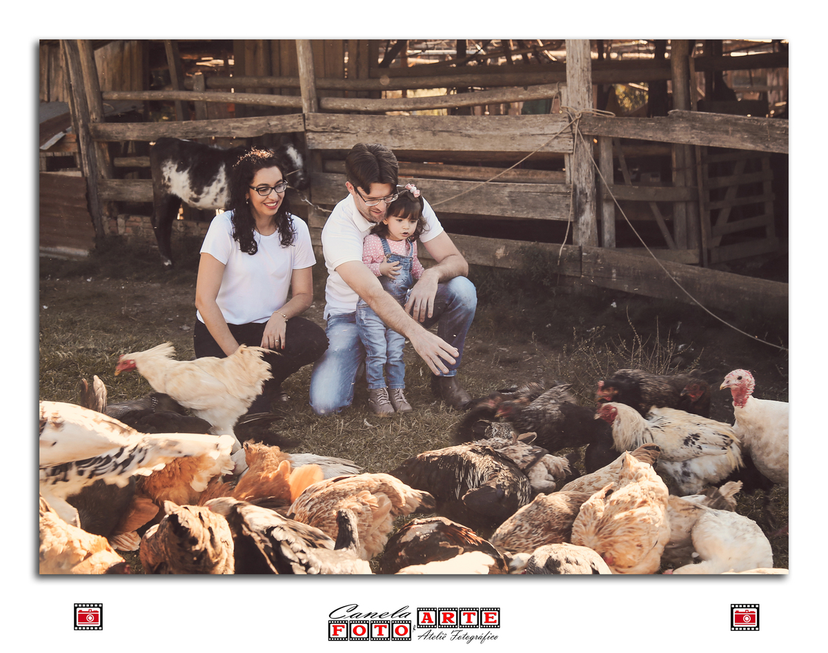 ensaio fazendinha