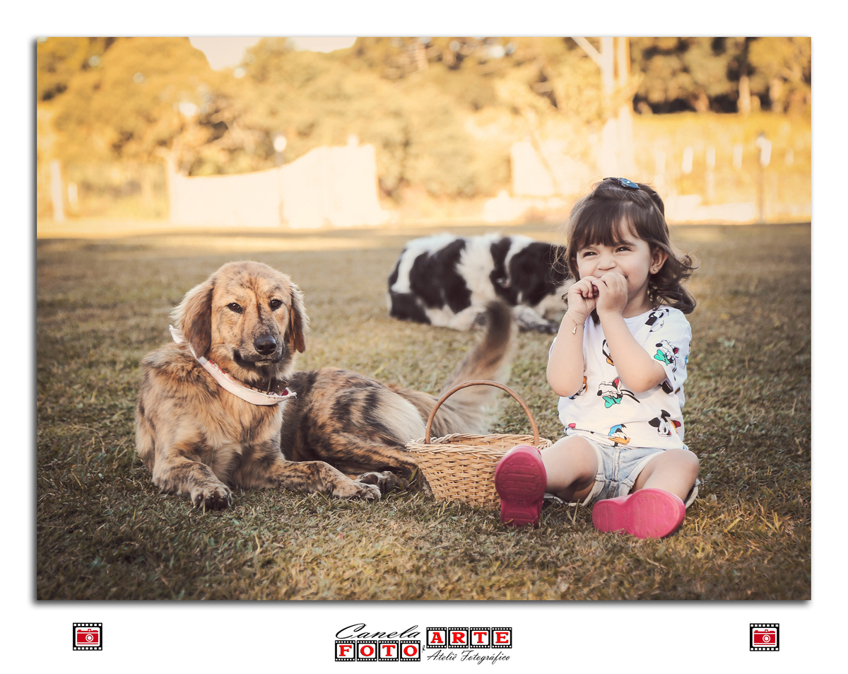 ensaio infantil com cachorros