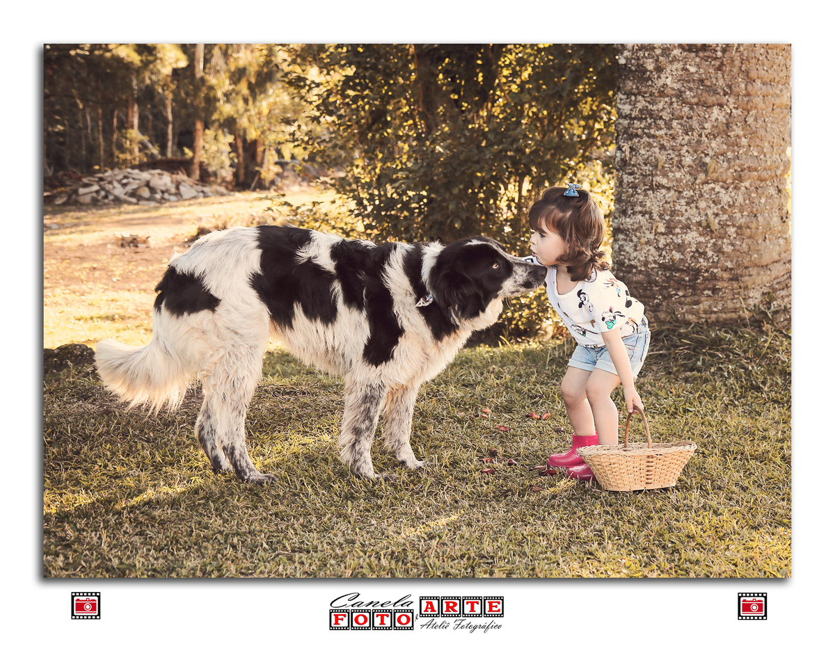 ensaio infantil fazendinha