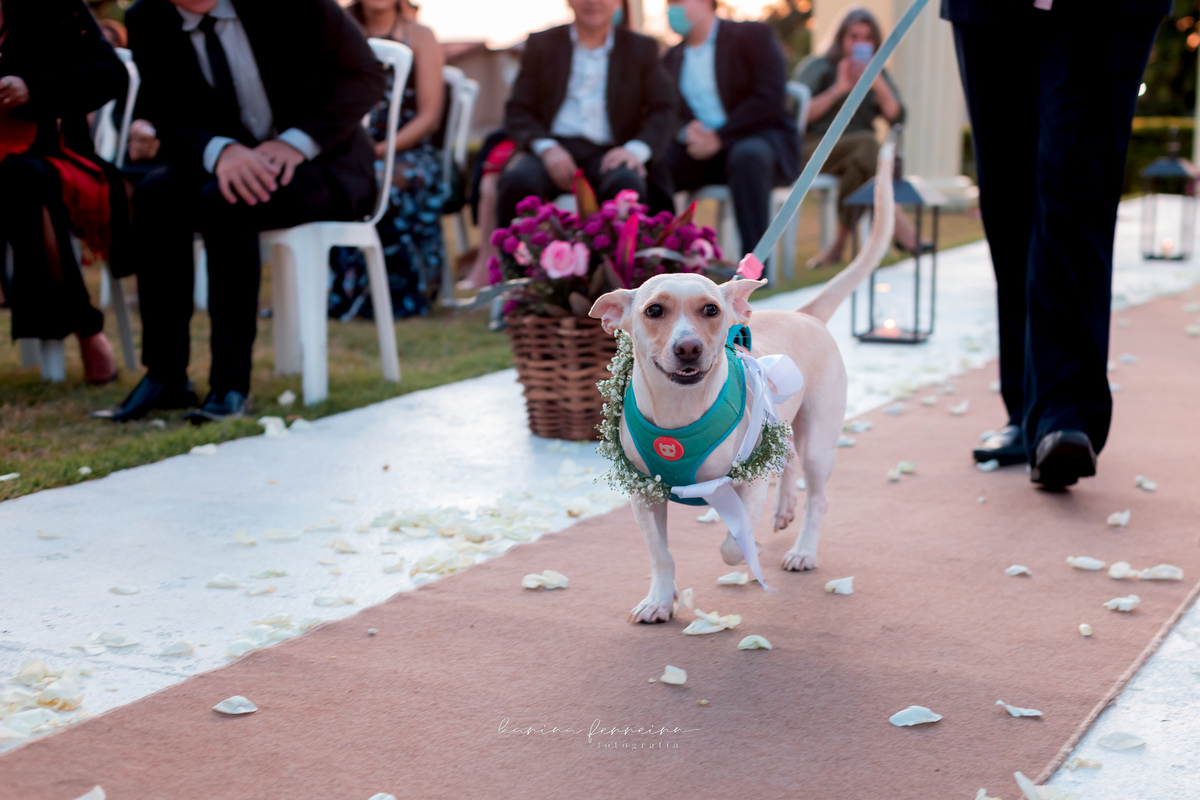 Pathernon * Santa Barbara/SP