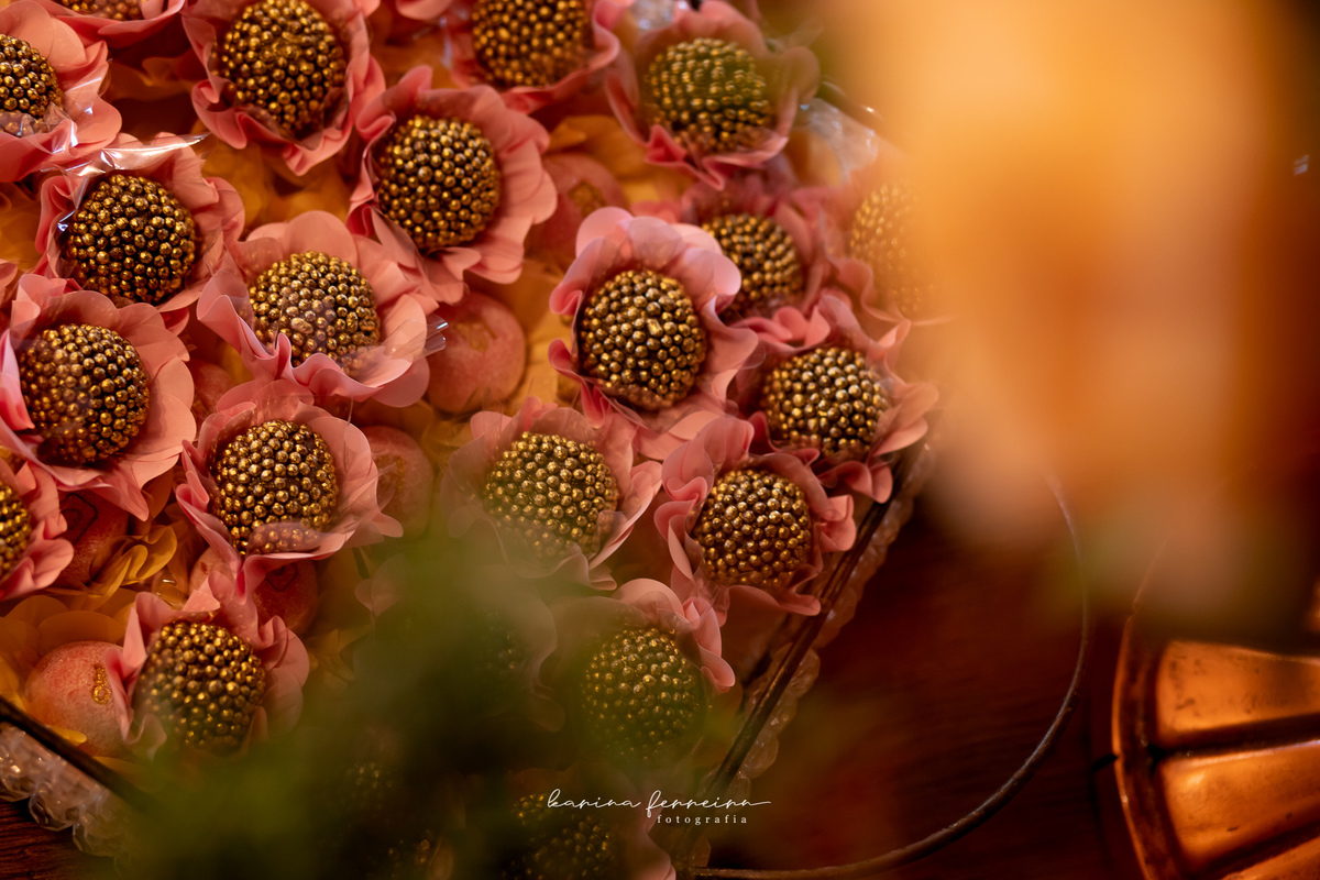 Swiss Park Casamento em Campinas/SP