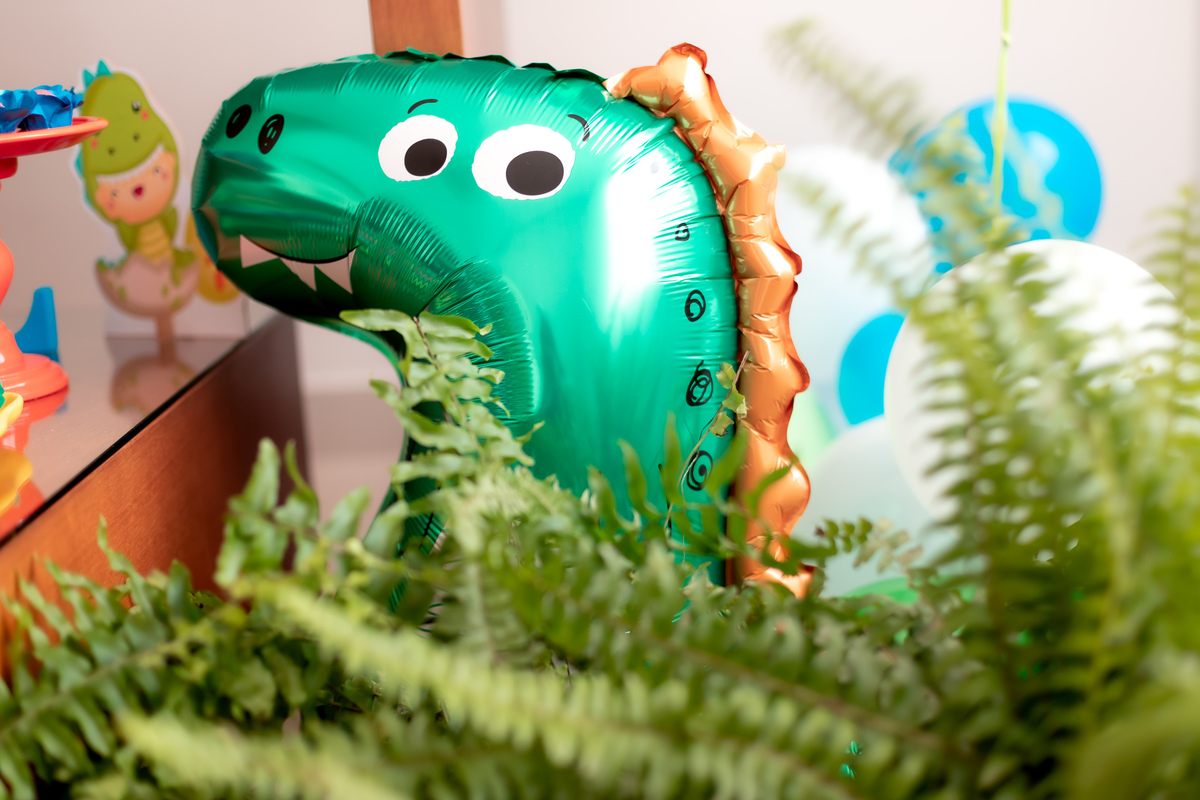 1 ANO DO DANIEL * Campinas/SP