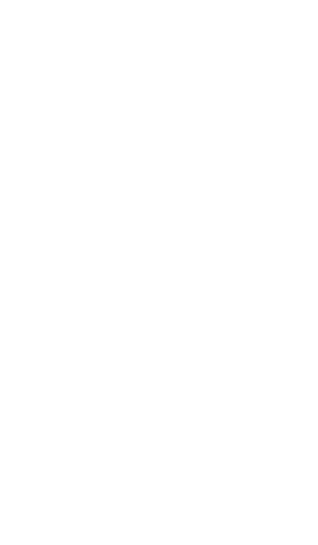 Logotipo de ZVA