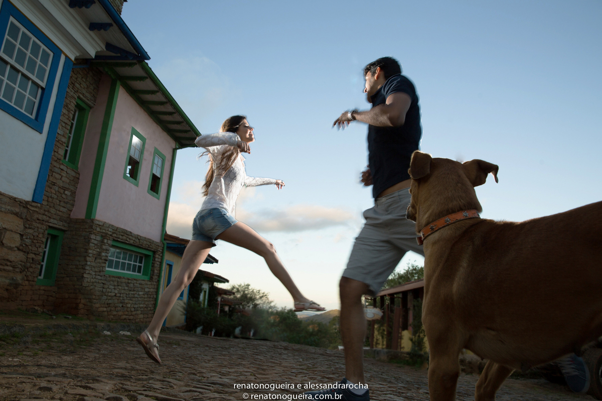 cachorro, noiva, noivo, sandália, coleira, casas