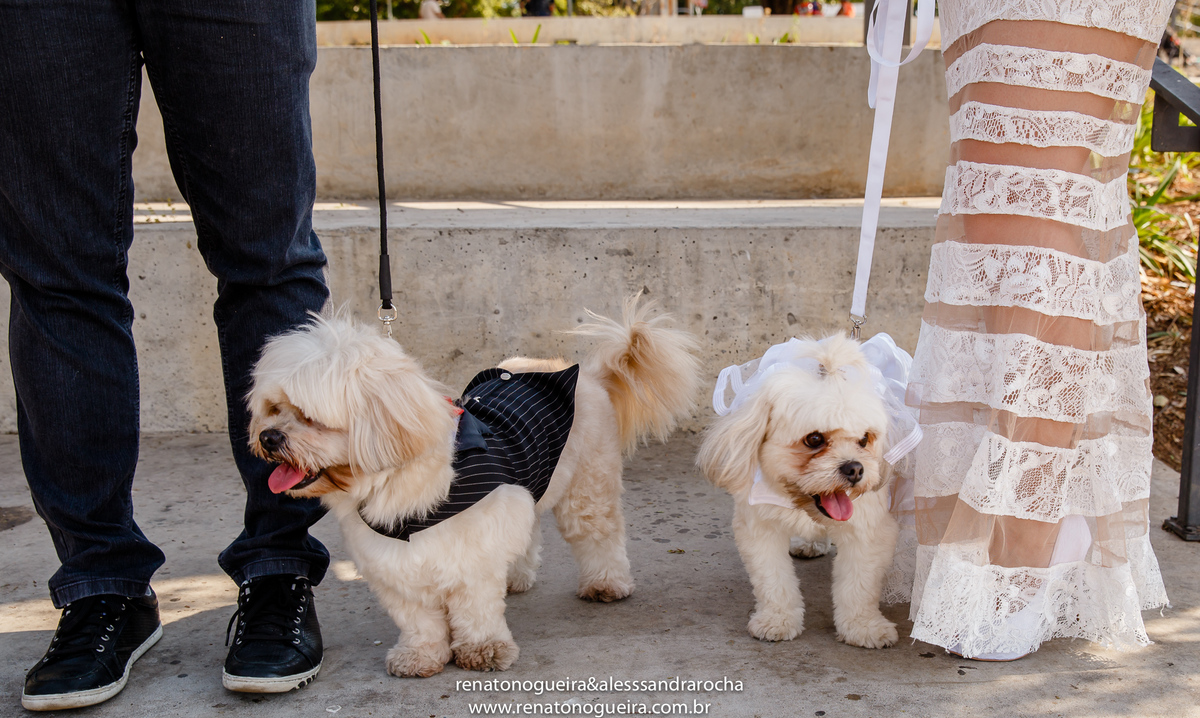 os cachorrinhos do casal
