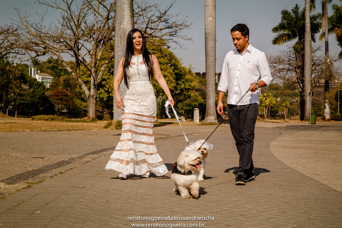 casal passeando com seus cachorros