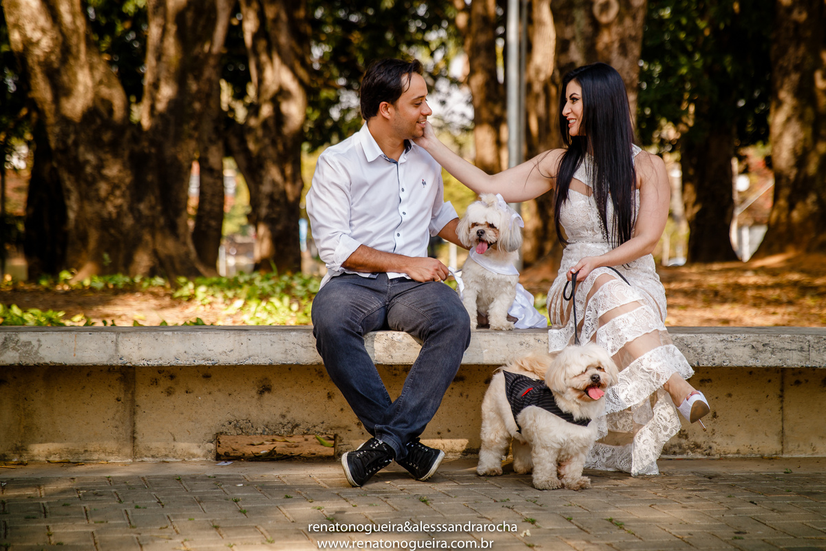 casal e os cachorrinhos divertindo