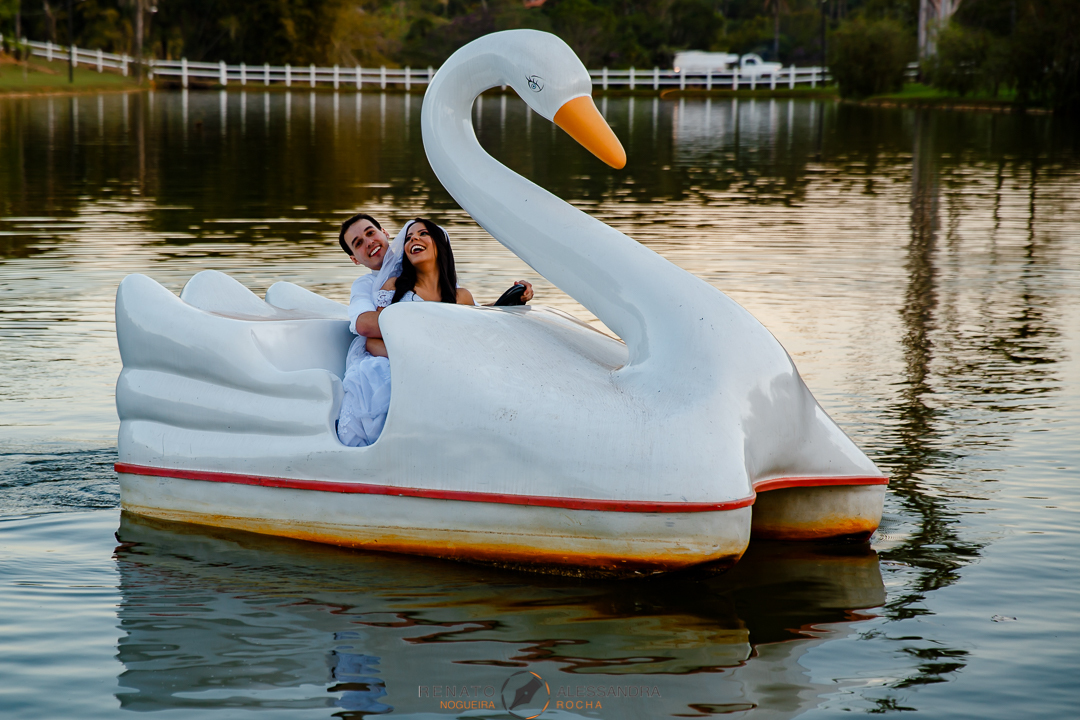 noivos e o cisne do amor