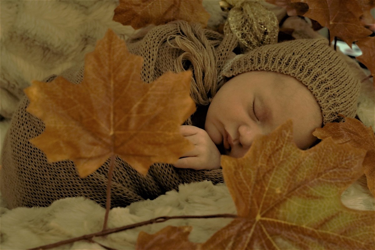 Newborn Pedro Arapongas