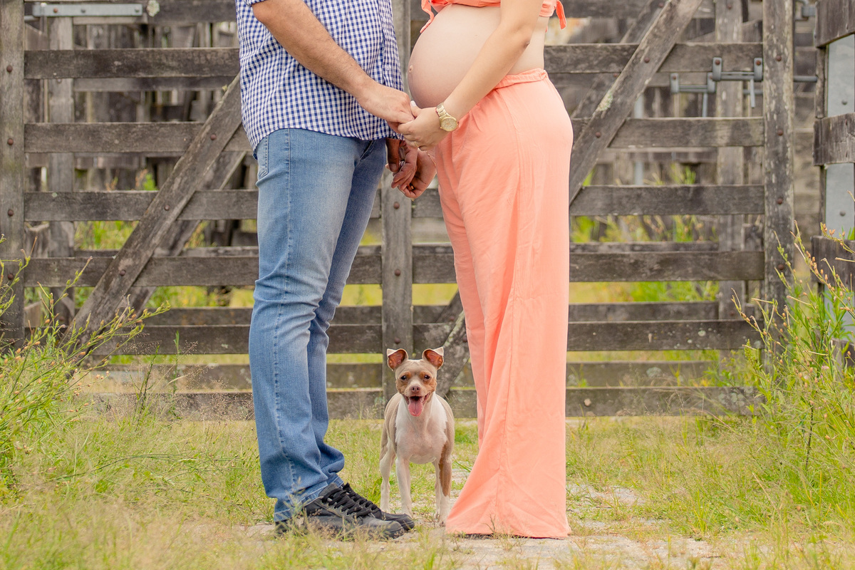  #gestante #gravida #maternidade #gravidez #ensaiogestante #maedemenina #maedemenino #fotografia #bebe #baby 
 #ensaiofotografico #ensaiogauderio #familia #maternidadereal #maedeprimeiraviagem #cavalo  #cahorro #mamae #gestacao #brasil #ensaiogaucho #baby