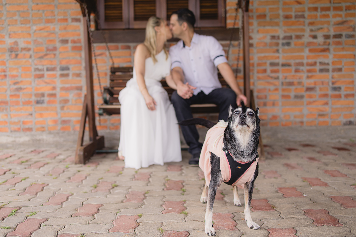 ensaio de casal, dia, noite, luzes, rustico, pelotas, satolep, fotógrafo de casamento, fotógrafo de ensaios, ensaio no campo, chacara fiss, diurno, noturno, casamento, ensaio externo, sol, chuva, lua, ensaio lâmpadas, lago, grama, casamento no campo