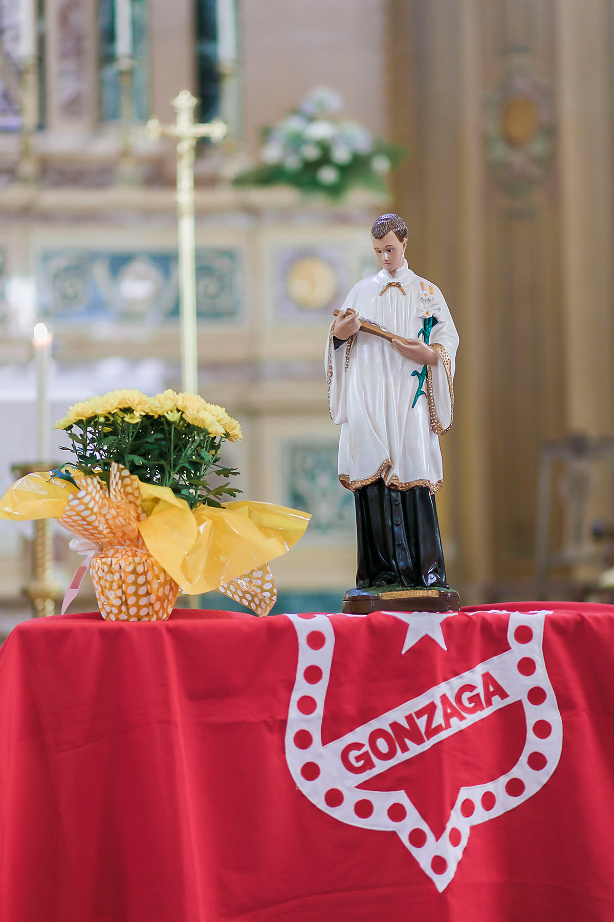 1 comunhão, amor, bolo, Catedral, Charqueadas, comemoração, DECORAÇÃO, doces,festa, fotografia, fotografia de família, igreja, infantil, linda, menina, mesa decorada, pelotas, princesa, quinta dom manoel, religião, são francisco de paula, vestido