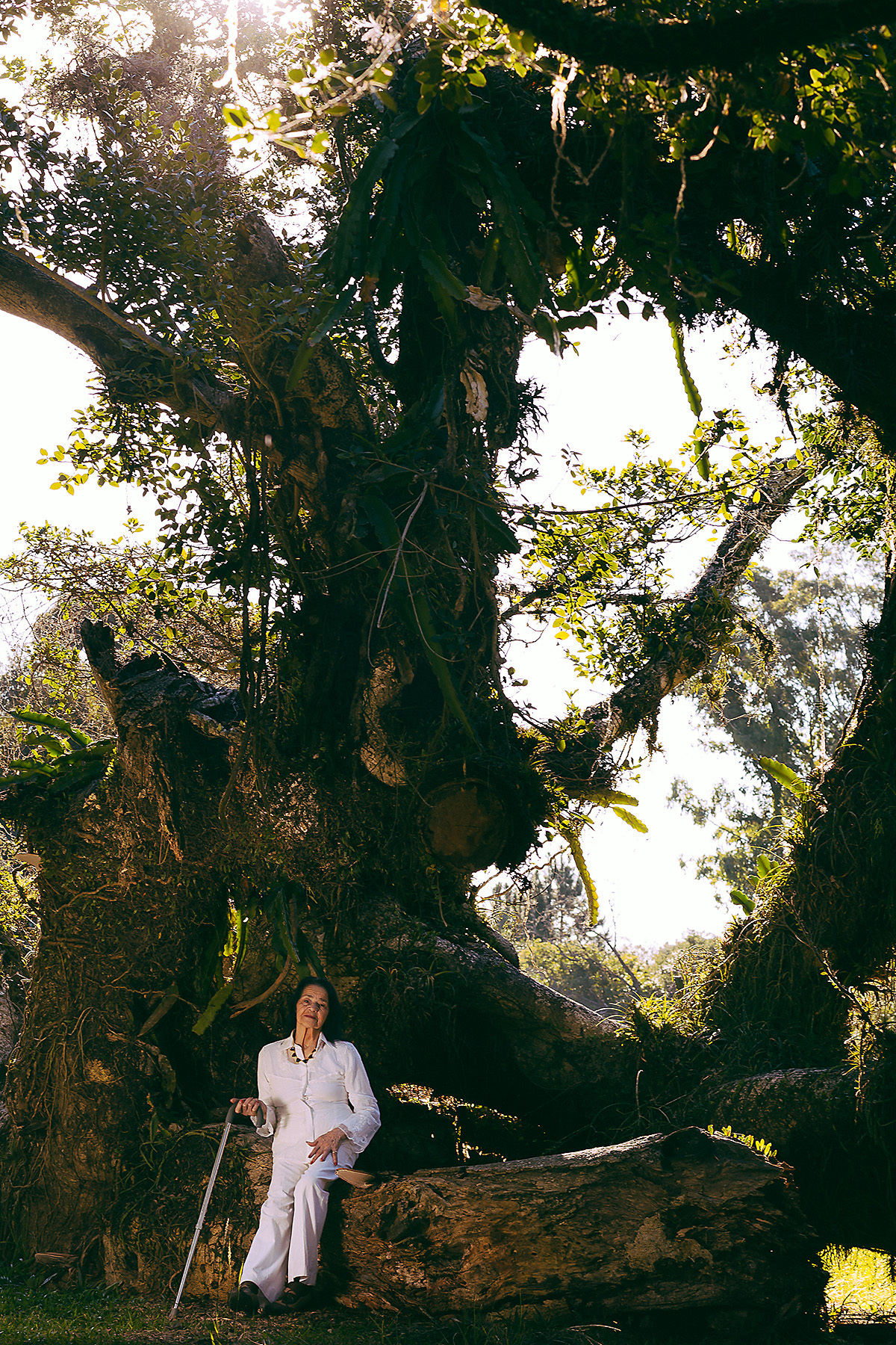 70 anos, 80 anos, 90 anos, aniversário, ensaio fotográfico , feliz aniversário, festa, foto, fotografia, fotógrafo, fotógrafo de Pelotas, fotógrafo em Pelotas, Clube, caça e pesca, melhor idade, Murano, pelotas, San Sebastian, Senhora, Regatas, barco