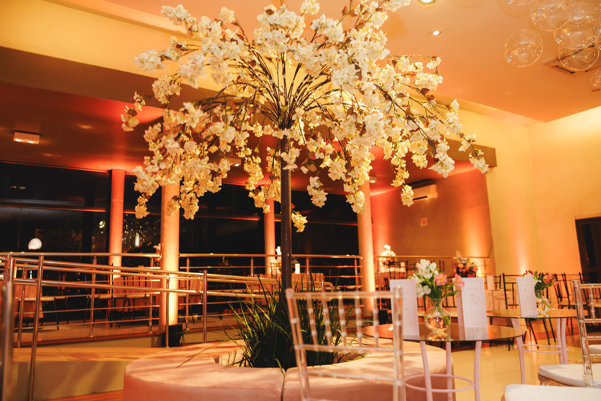 fotografo pelotas, fabiano rosa, festa  15 anos, san sebastian, estúdio fotografico, vestido 15 anos, Vestido rosa, festa 15 , ensaio, blogueira, blog, influencer, modelo , debutante, festa, evento, make, maquiagem festa, 15 anos pelotas, satolep