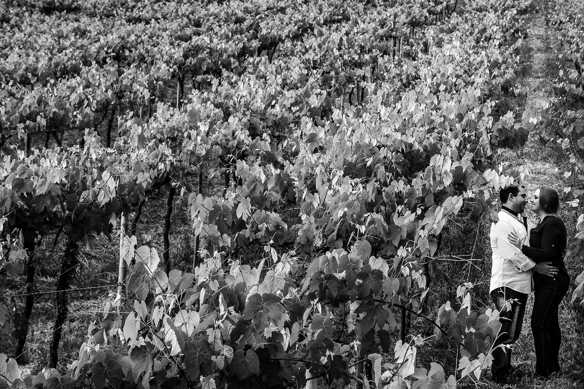 Casamento, casamento de dia, book, satolep, Catedral, Fabiano Rosa Fotografia, foto, vinicola, Charqueadas, vinicola nardelo, fotografia, Clube Brilhante, laranjal, fotógrafo, Fotógrafo de casamento, fotógrafo em Pelotas, ensaio pré casamento, e-session