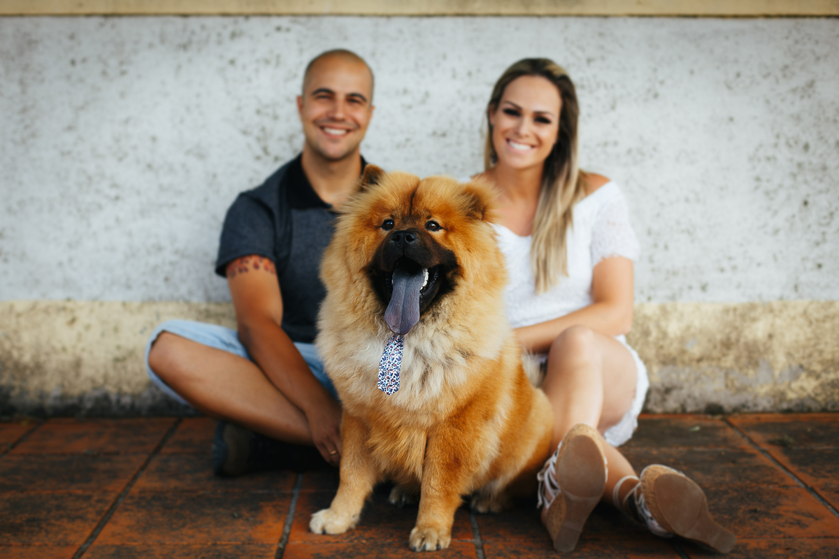 satolep, slide show, casamento de dia, cachoeira do imigrante, RS, CERIMÔNIA, CERIMONIALISTA, pre wedding, ensaio pré-casamento, Fabiano Rosa, Fabiano Rosa Fotografia, Fotógrafo de casamento, fotógrafo Pelotas, NOIVA, pré-casamento, querofotografaroamor