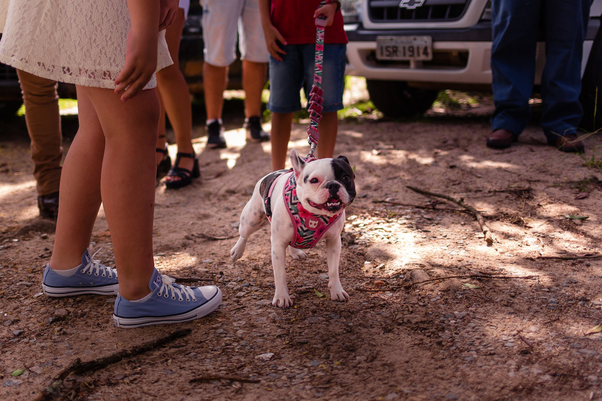 casamento,  pelotas, cerrito alegre, arroio do padre, satolep, festa,  salão,  decoração,  fabiano rosa fotografia,  vestido noiva, casarão, álbum, fotografo de casamento, casamento em pelotas, casamento de dia, casamento no campo, casamento rústico