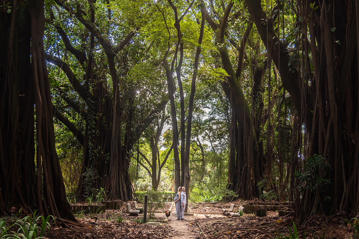 Gestante e marido entre árvores - ESPERANDO EMANUEL - ENSAIO GESTANTE EM SÃO PAULO - FOTÓGRAFO DE GESTANTE EM SÃO PAULO - PARQUE DA ÁGUA BRANCA - FOTÓGRAFO PROFISSIONAL EM SÃO PAULO - RODRIGO MARTIN - RODRIGO MARTIN FOTOGRAFIA