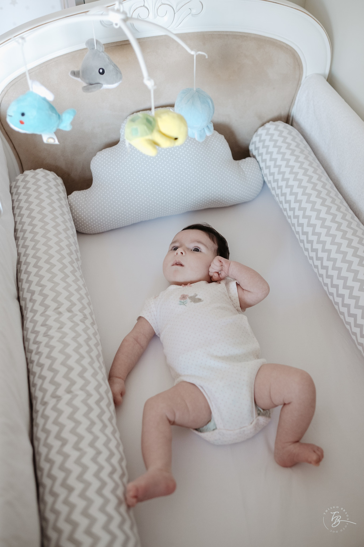 2 meses da Sofia, ensaio de família, acompanhamento docu