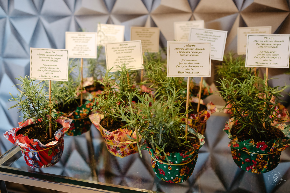 aniversário infantil, tema de boi de mamão, 2 anos da Theodora, festa em salão de festas por Thiago Braga Fotografia