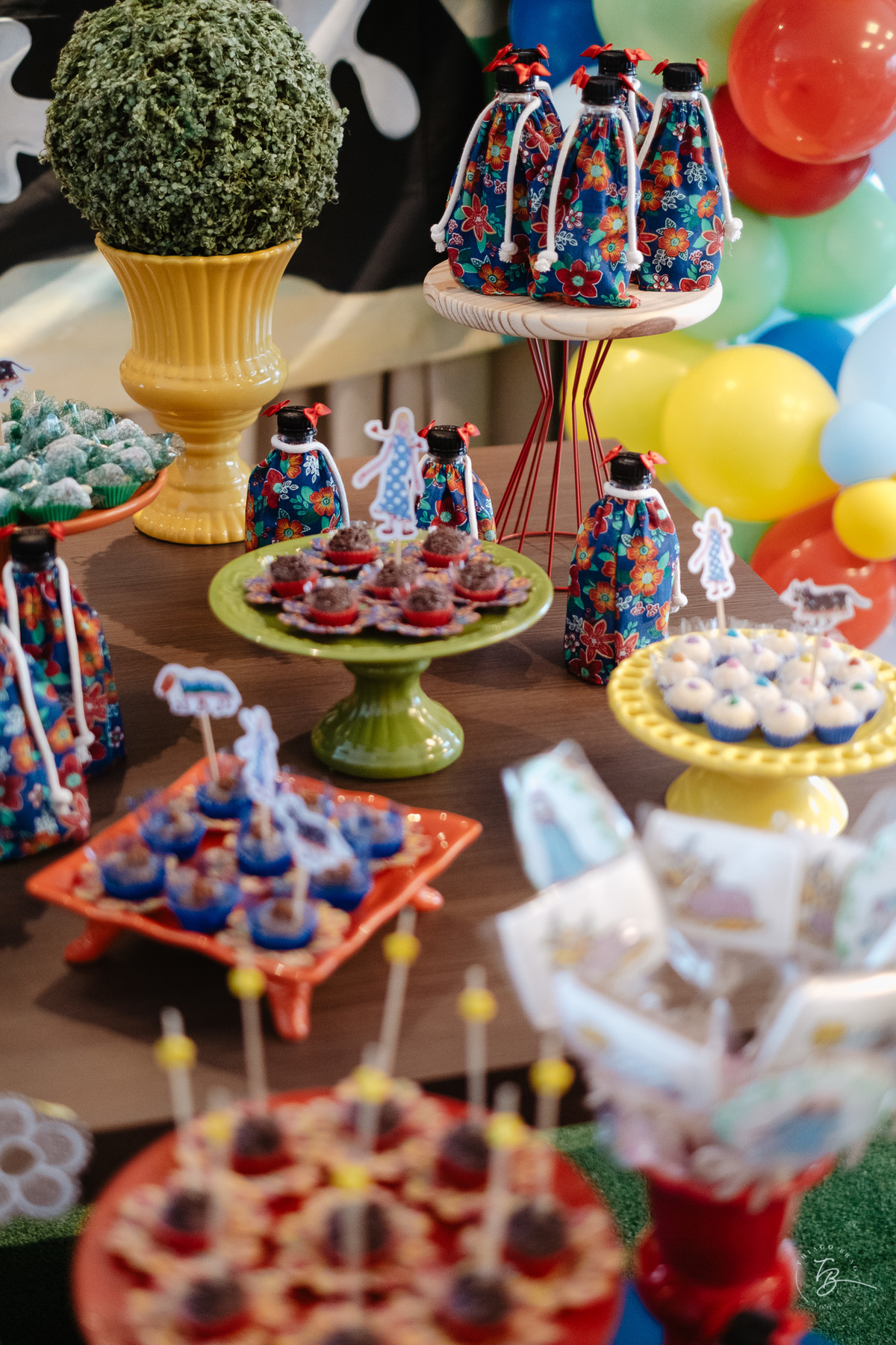 aniversário infantil, tema de boi de mamão, 2 anos da Theodora, festa em salão de festas por Thiago Braga Fotografia