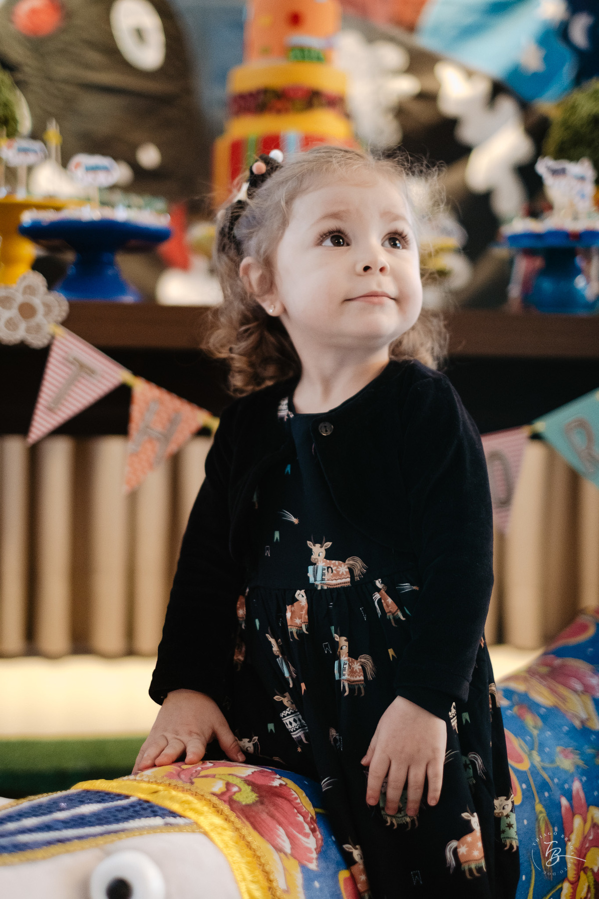 aniversário infantil, tema de boi de mamão, 2 anos da Theodora, festa em salão de festas por Thiago Braga Fotografia