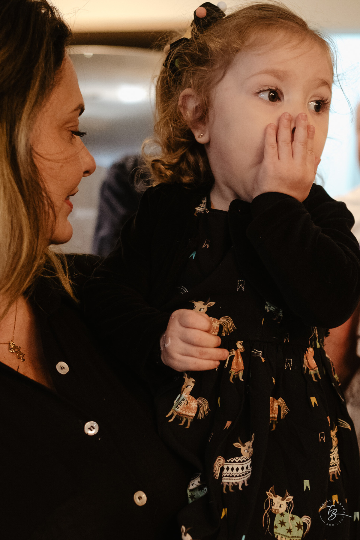 aniversário infantil, tema de boi de mamão, 2 anos da Theodora, festa em salão de festas por Thiago Braga Fotografia