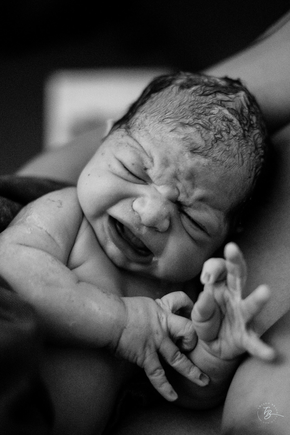 fotografia de nascimento, parto natural, normal, na maternidade santa helena em florianopolis-sc por Thiago Braga