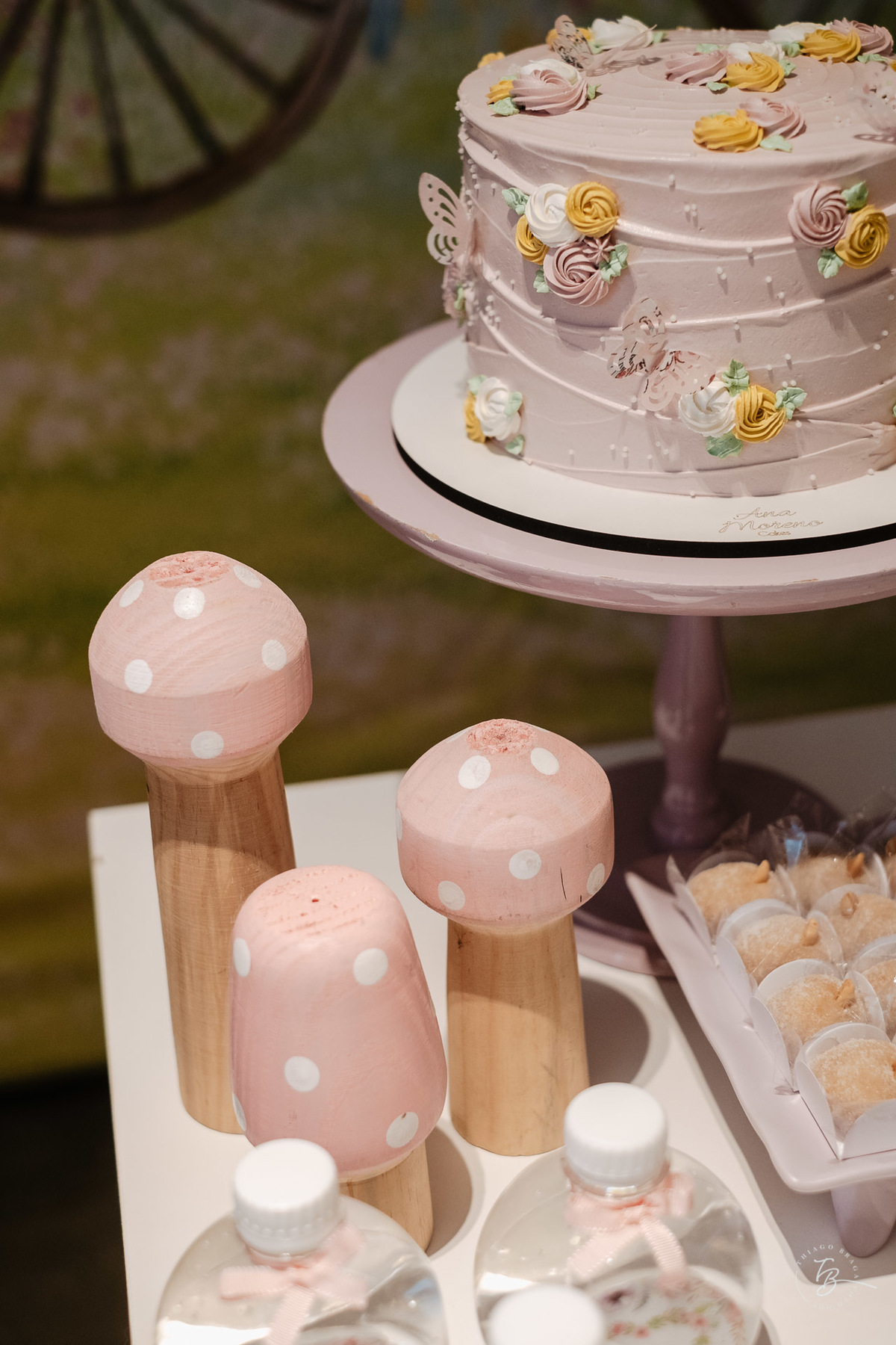 aniversário infantil em Itajai