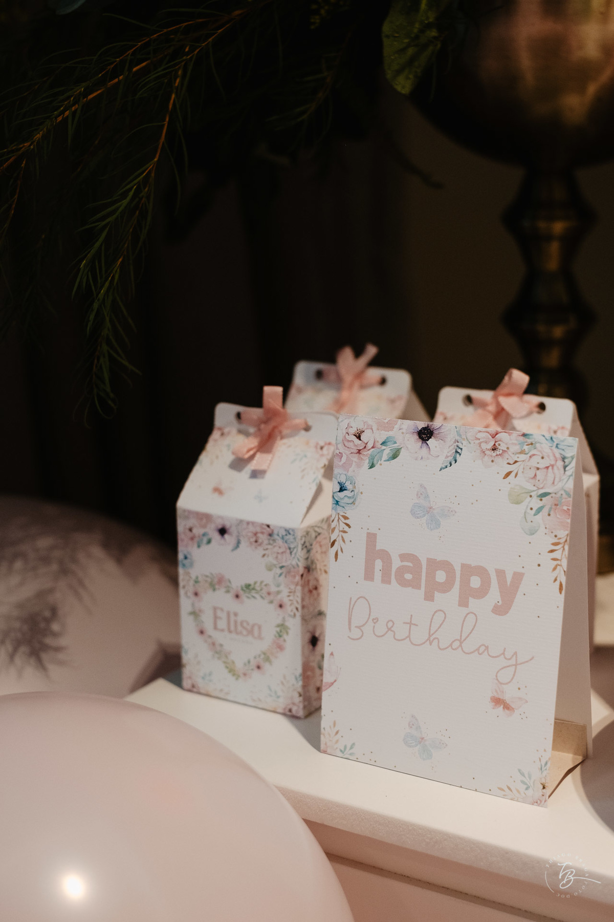 aniversário infantil em Itajai