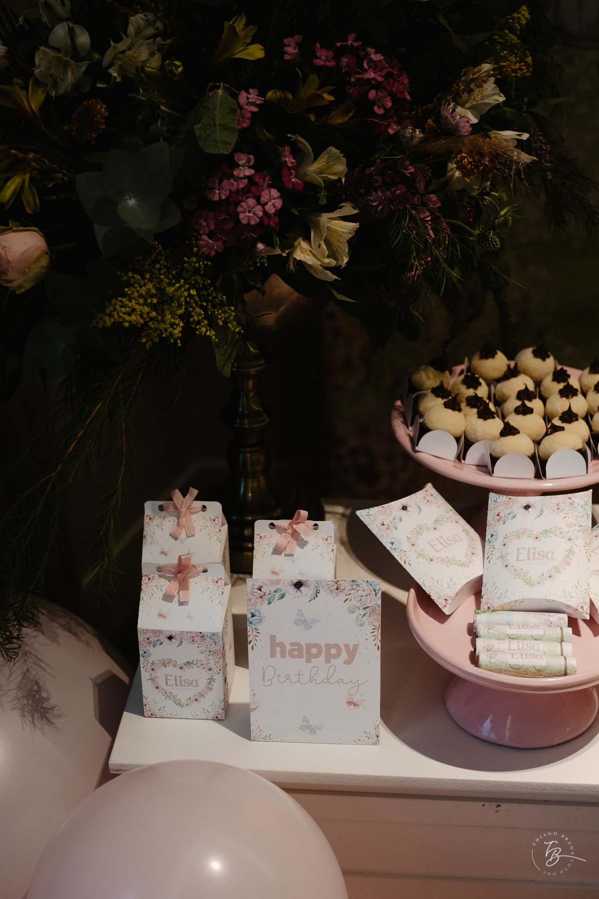 aniversário infantil em Itajai