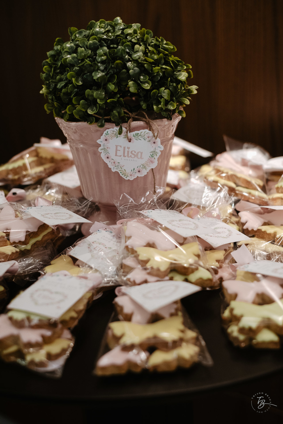 aniversário infantil em Itajai