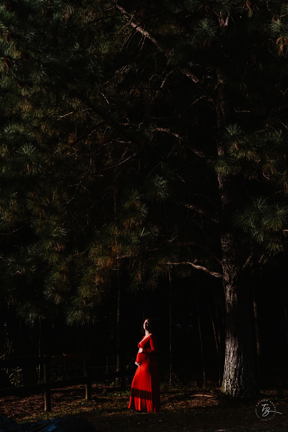 Ensaio gestante a espera do Nando na hípica Equilibre em Florianópolis, campeche por Thiago Braga