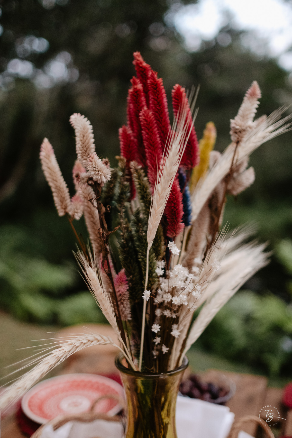 Ensaio gestante a espera do Nando na hípica Equilibre em Florianópolis, campeche por Thiago Braga