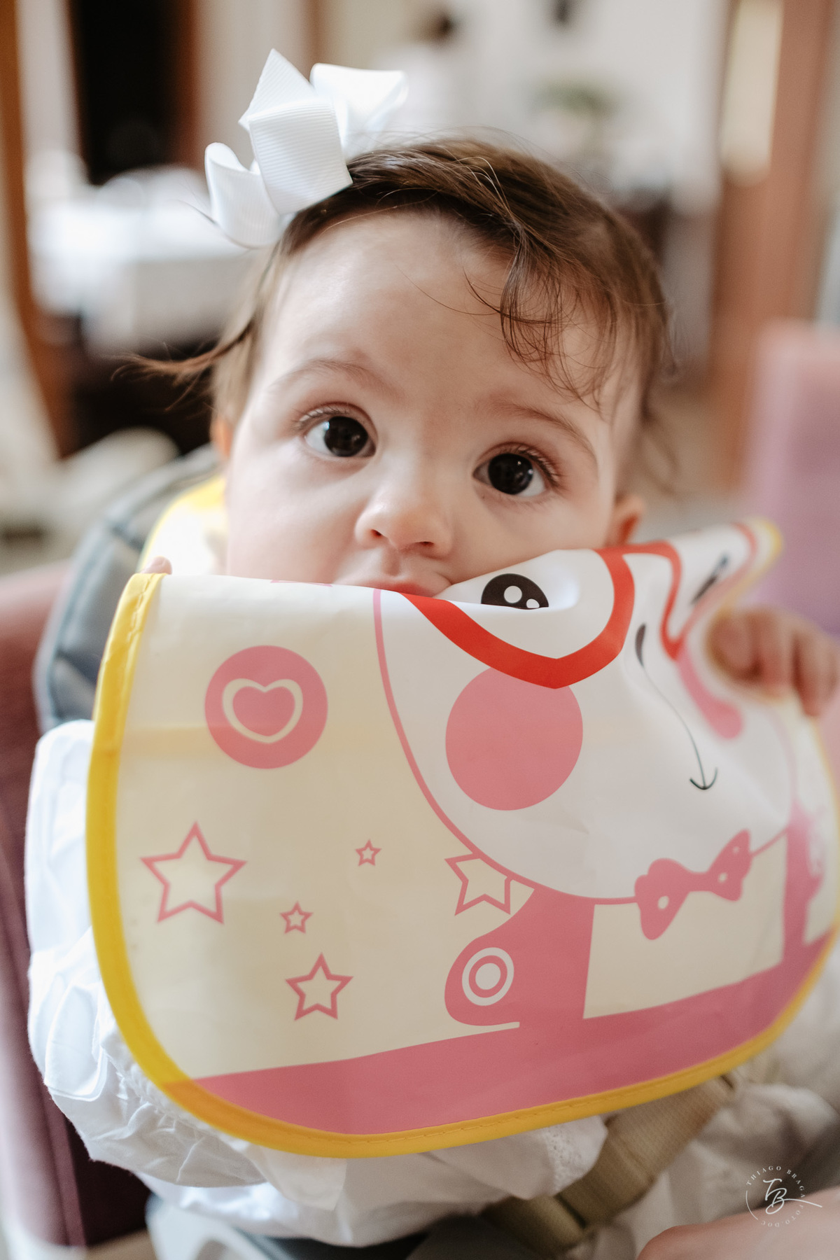 Fotografia de batizado documental em Anitápolis por Thiago Braga