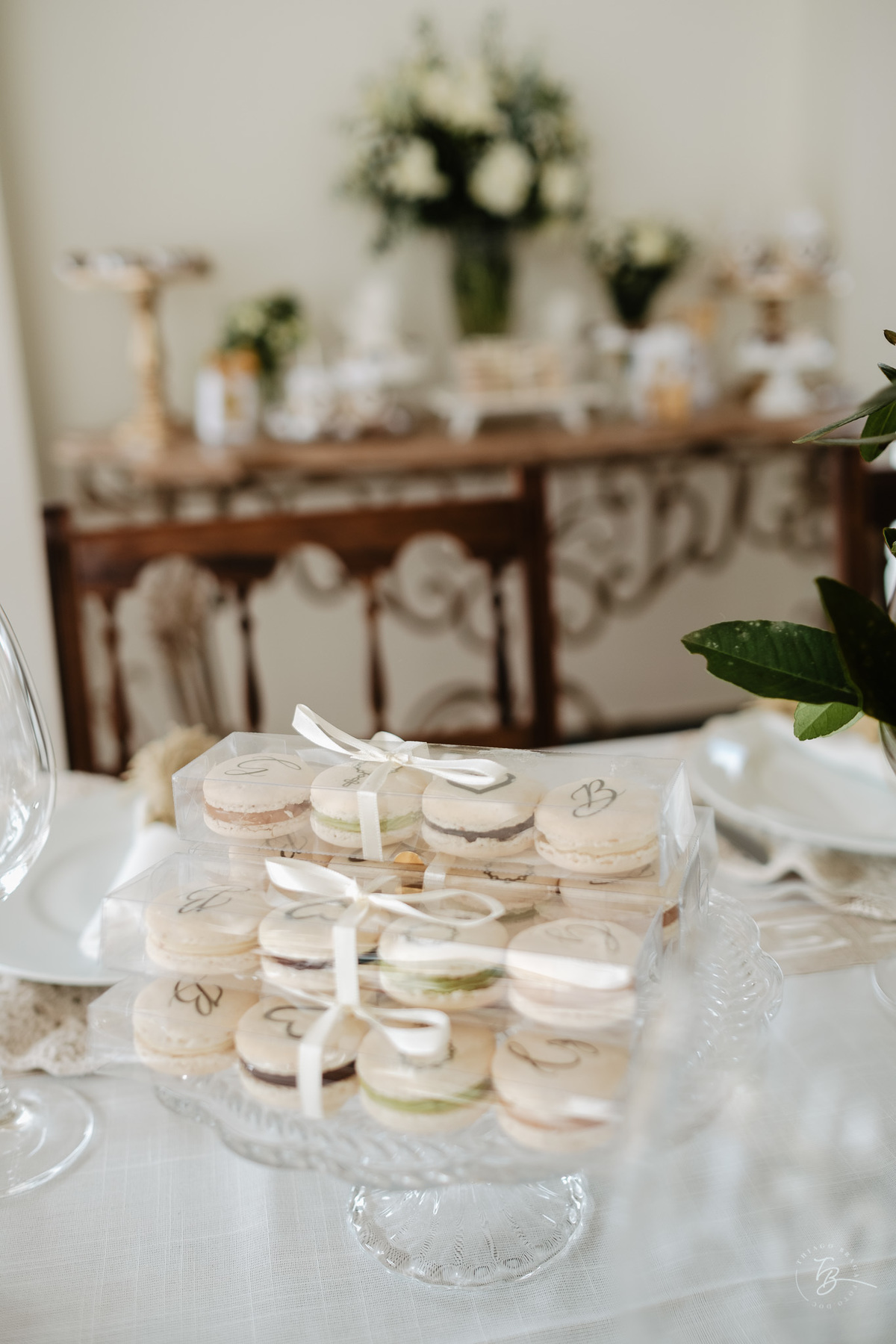 Fotografia de batizado documental em Anitápolis por Thiago Braga