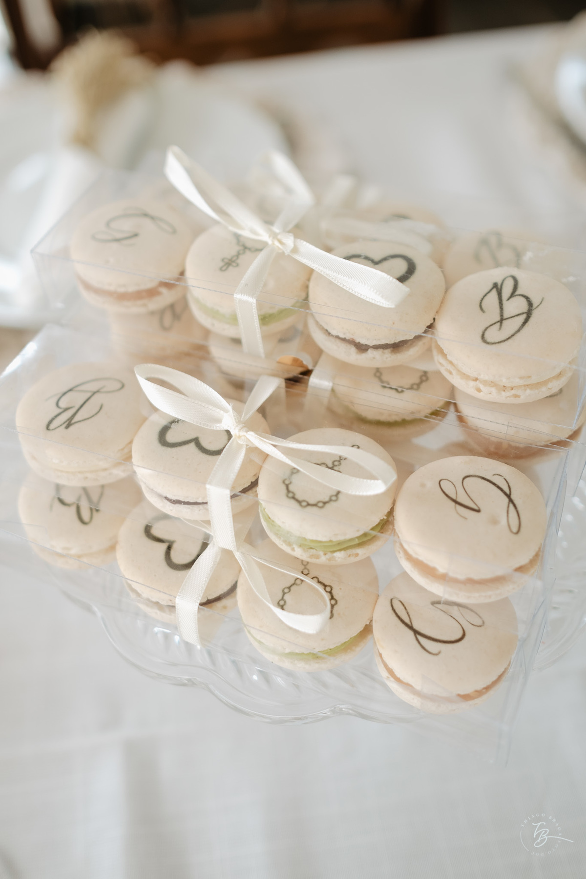 Fotografia de batizado documental em Anitápolis por Thiago Braga