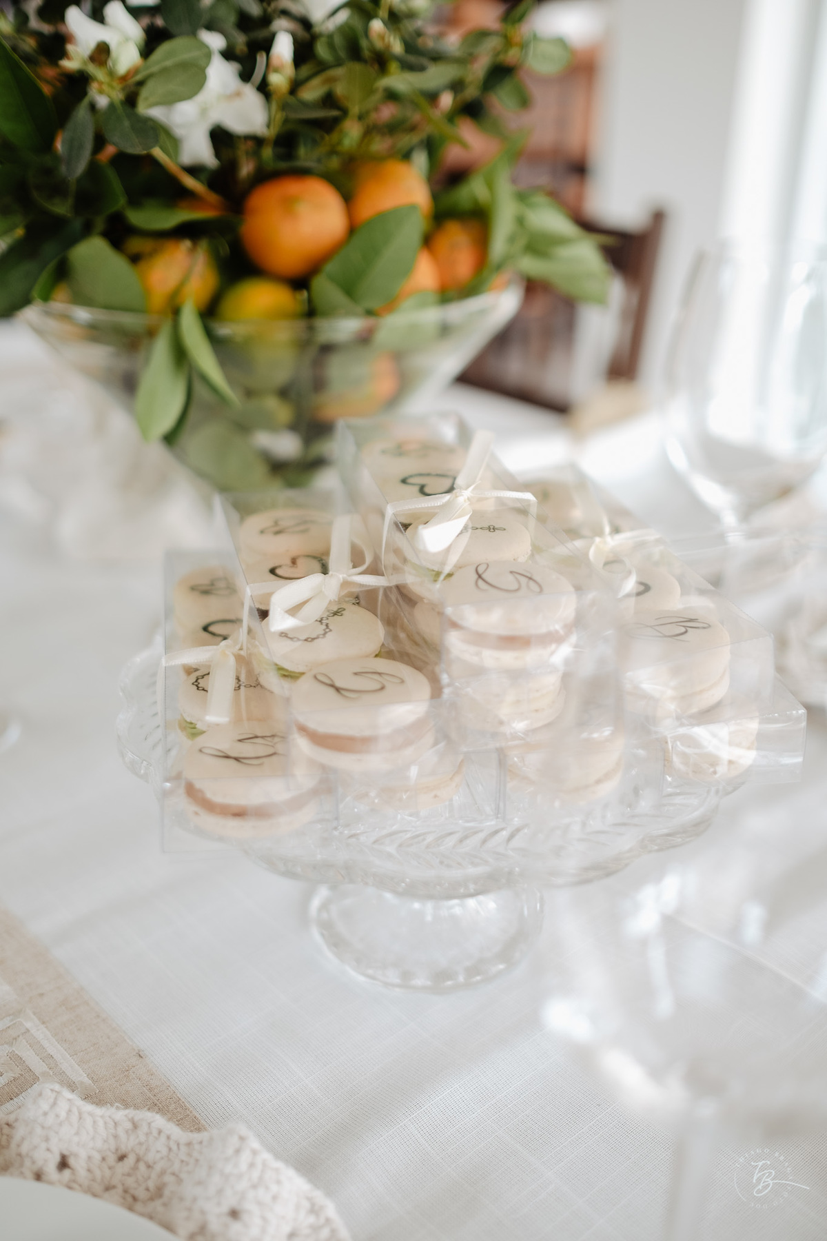 Fotografia de batizado documental em Anitápolis por Thiago Braga