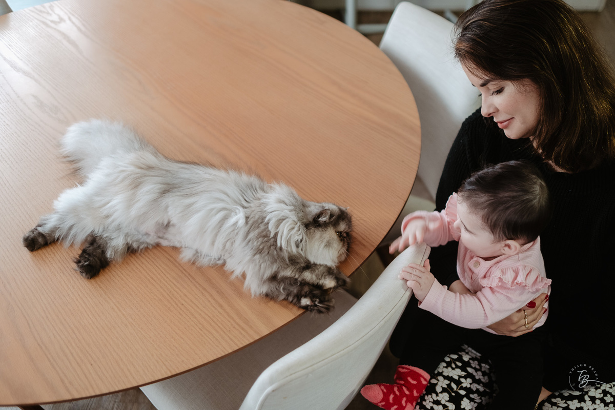 Ensaio de família, acompanhamento bebê, lifestyle, 6 meses da Sofia por Thiago Braga Fotografia.
