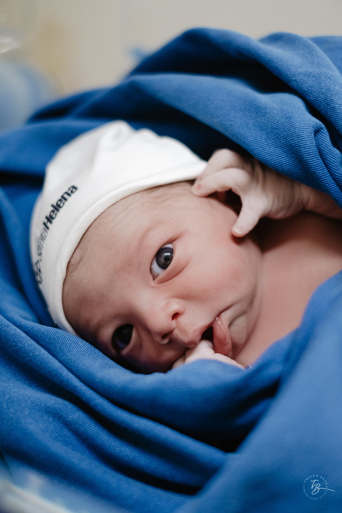 Fotografia de nascimento, na maternidade santa helena em florianópolis, parto cesárea por Thiago Braga